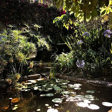 D'artisti 아파트 *