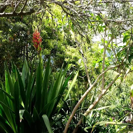 아파트 D'artisti *