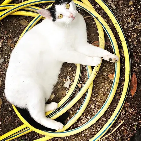 D'artisti Διαμέρισμα Σαν Ρέμο