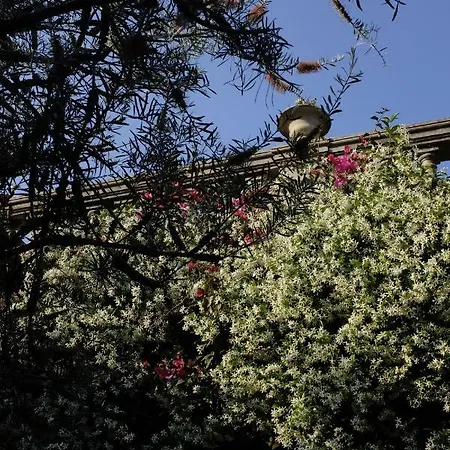 Lägenhet D'artisti *