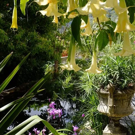 D'artisti * San Remo