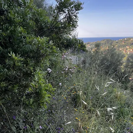 D'artisti Sanremo