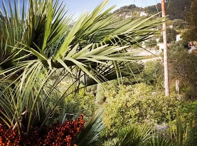 D'artisti Apartment Sanremo