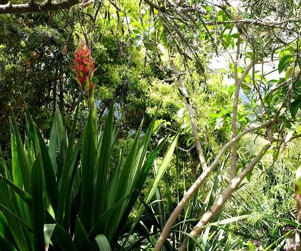 Apartment D'artisti *