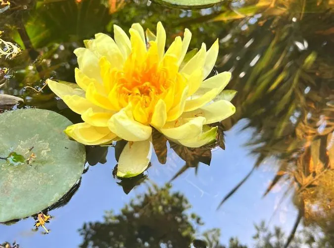 D'artisti Apartment Sanremo