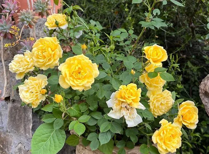 Apartment D'artisti *