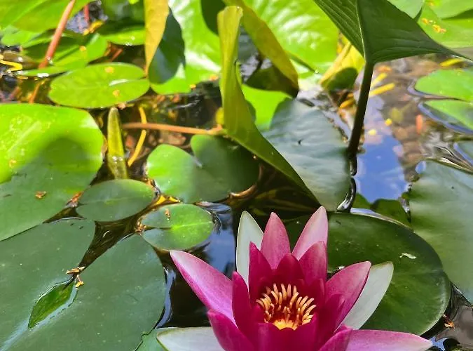 D'artisti Apartment Sanremo